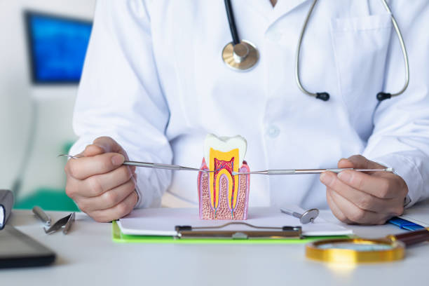 Best Emergency Broken Tooth Repair in Bridgeport, TX